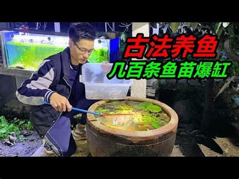 空魚缸風水|【空魚缸利用】空魚缸妙利用，打造居家實用新天地